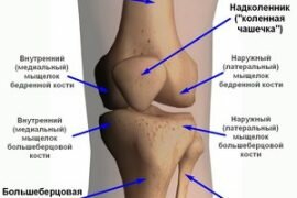 Тендинит коленного сустава симптомы и лечение